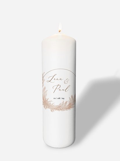 Blush Pampas Blush Pampas