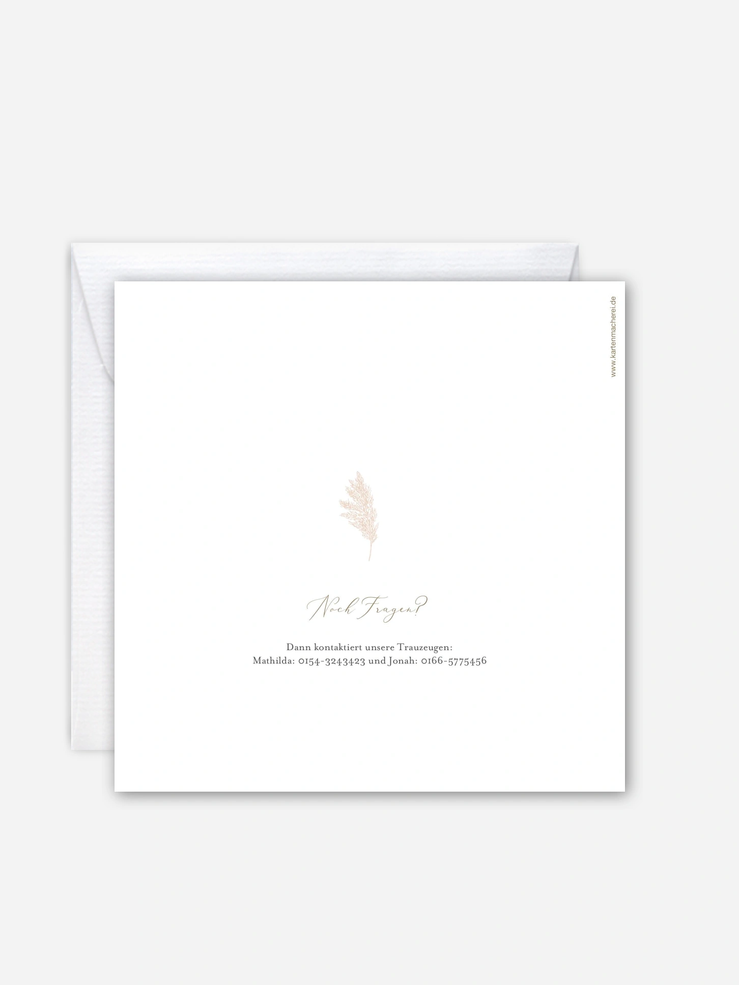 Hochzeitseinladung Blush Pampas