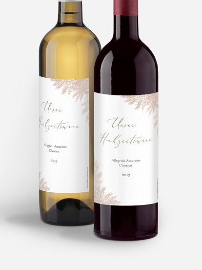 Blush Pampas Blush Pampas