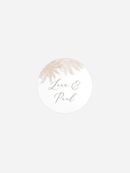 Blush Pampas Blush Pampas