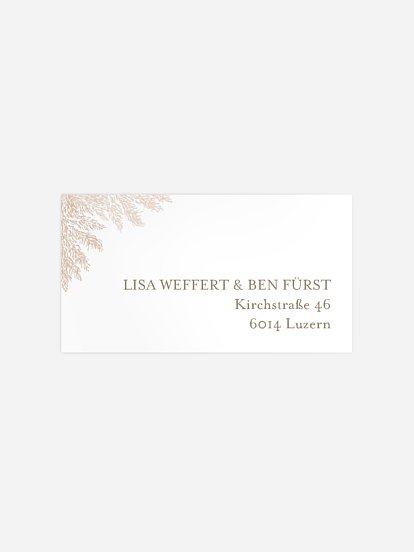 Blush Pampas Blush Pampas