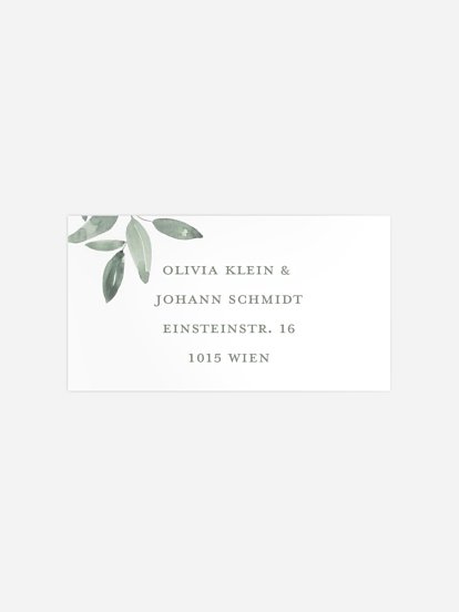 Lovely Sage Lovely Sage