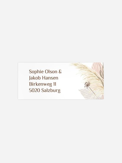 Dreams of Cotton Dreams of Cotton