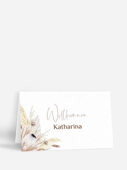 Dreams of Cotton Dreams of Cotton