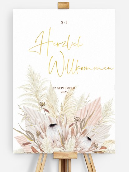 Dreams of Cotton Dreams of Cotton