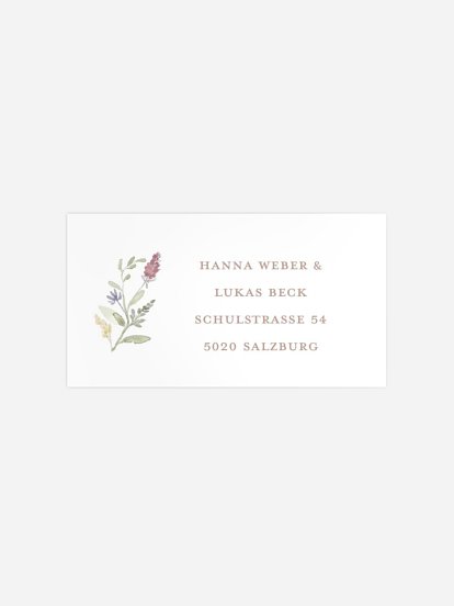 Wildflower Dance Wildflower Dance