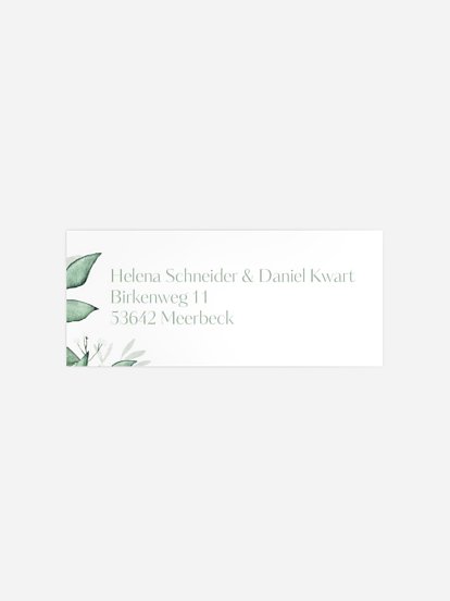 Sage Leaves Sage Leaves