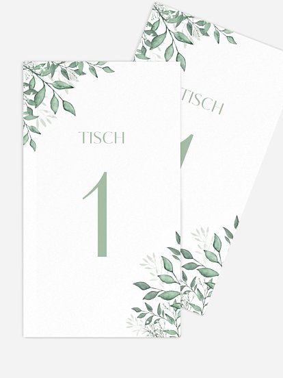 Sage Leaves Sage Leaves