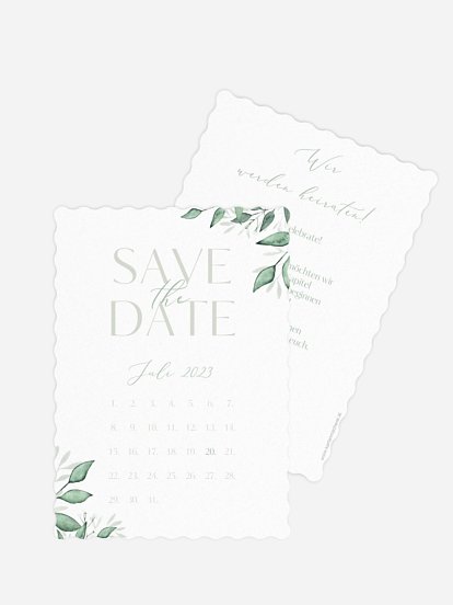 Sage Leaves Sage Leaves