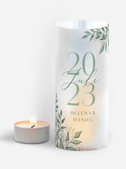 Sage Leaves Sage Leaves