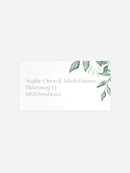 Sage Leaves Sage Leaves