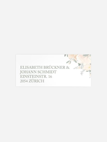 Peach Roses Peach Roses