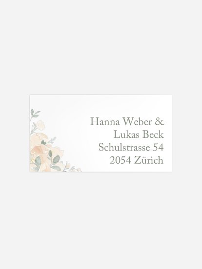 Peach Roses Peach Roses