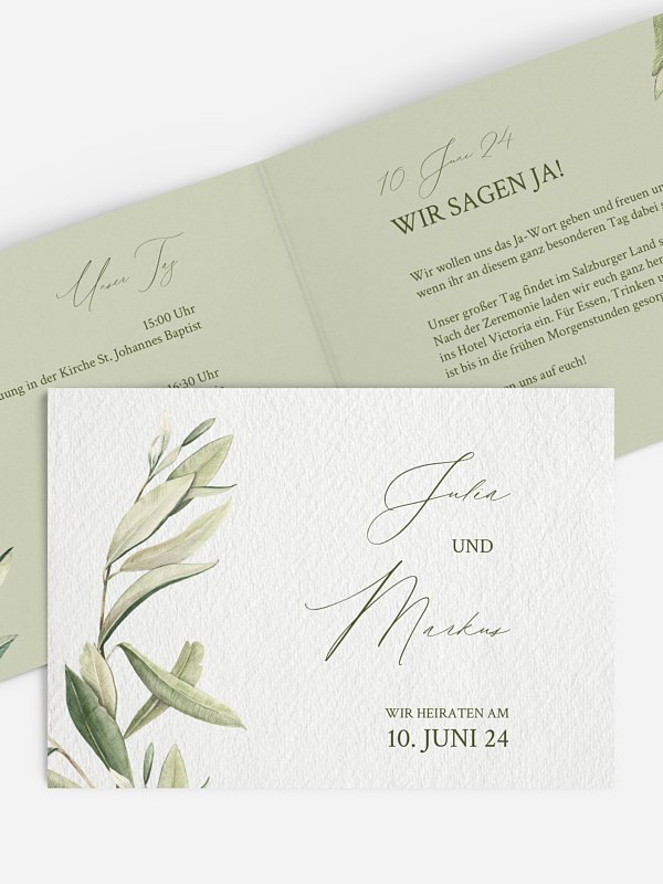 Elegant Olive