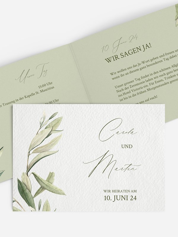 Elegant Olive