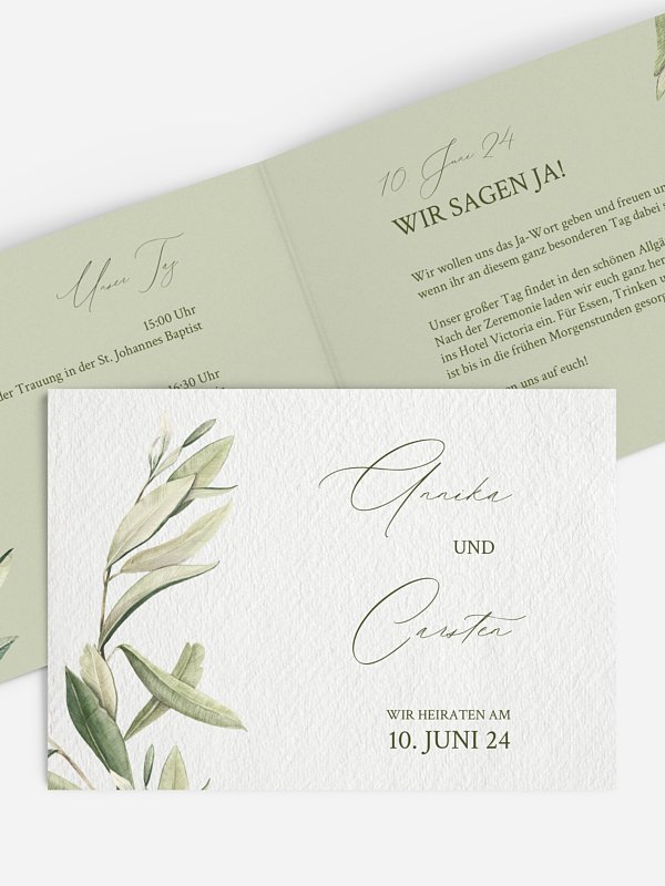 Elegant Olive