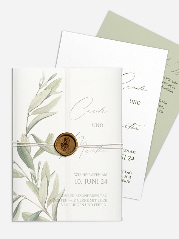 Elegant Olive