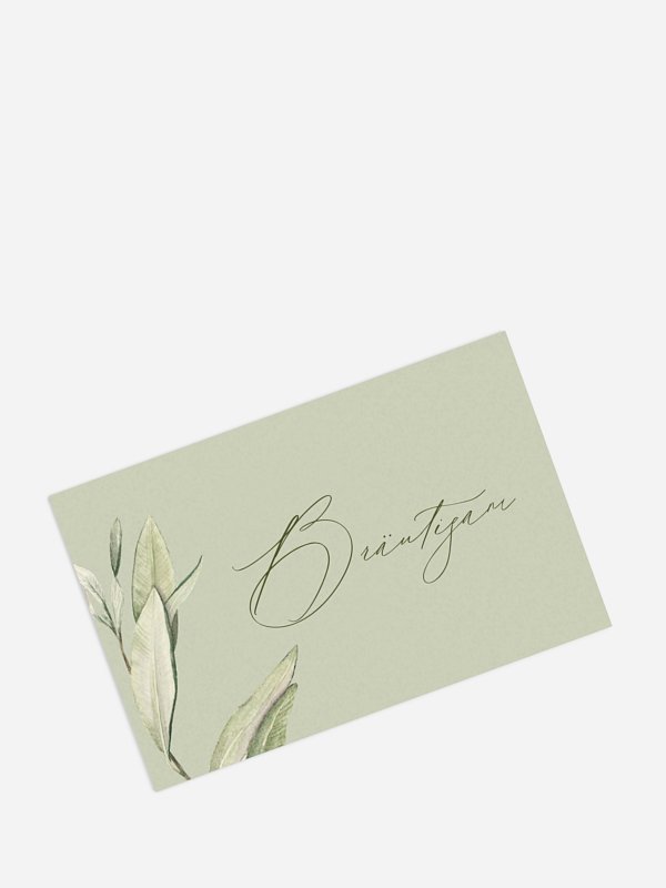 Elegant Olive
