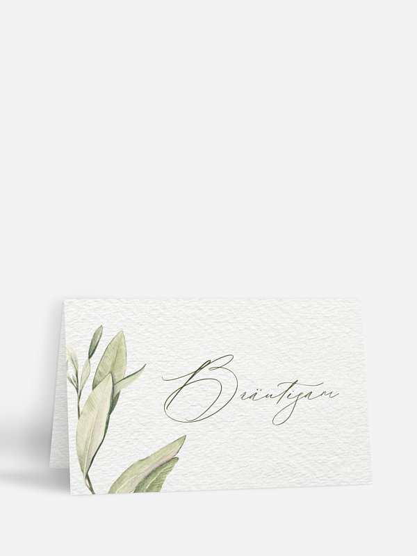 Elegant Olive