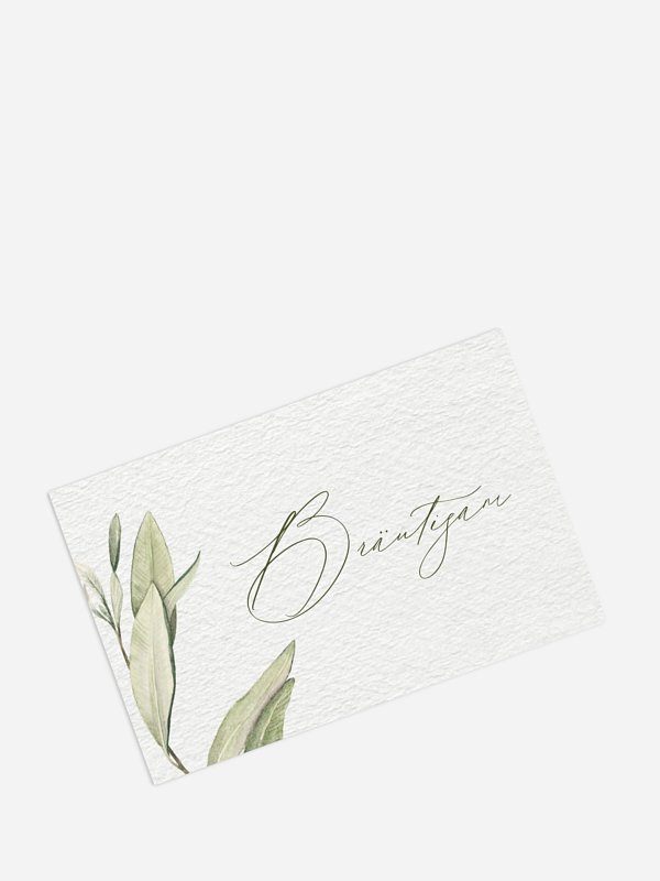 Elegant Olive
