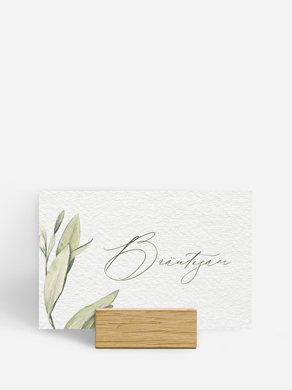 Elegant Olive