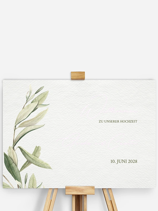 Elegant Olive