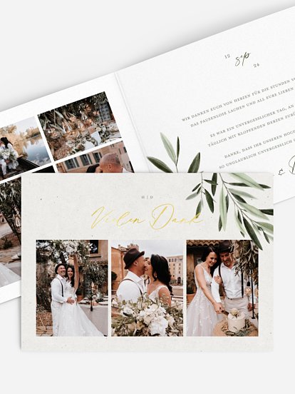 Scent of Olives Scent of Olives