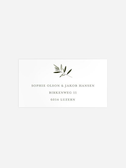 Scent of Olives Scent of Olives