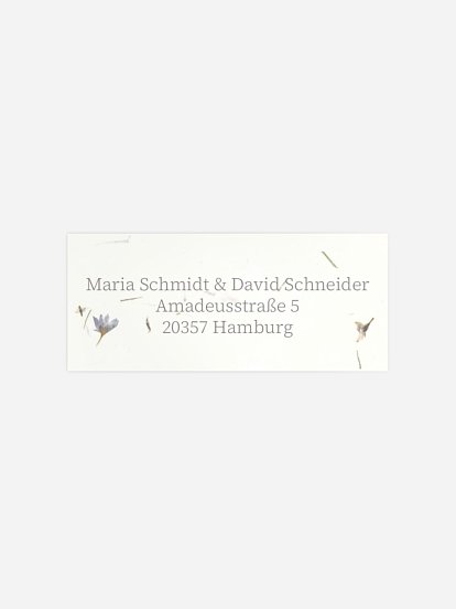 Dried Petals Dried Petals