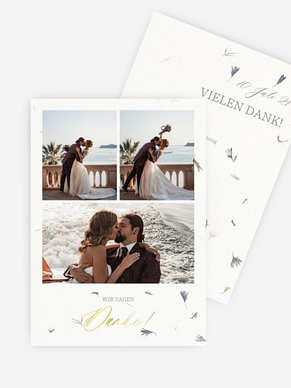 Dried Petals Dried Petals