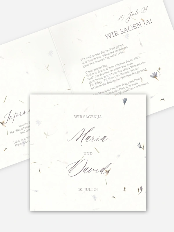 Dried Petals