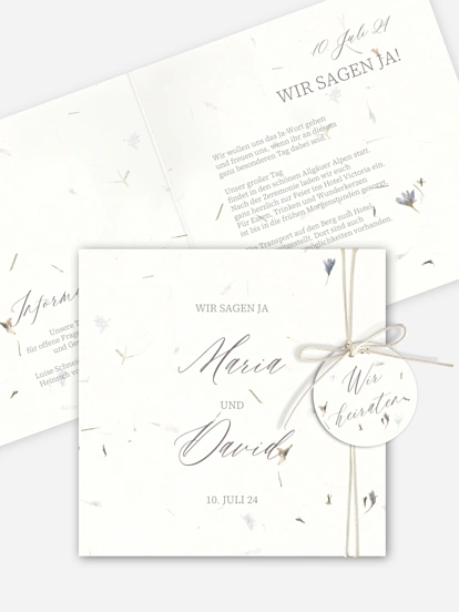 Dried Petals Dried Petals