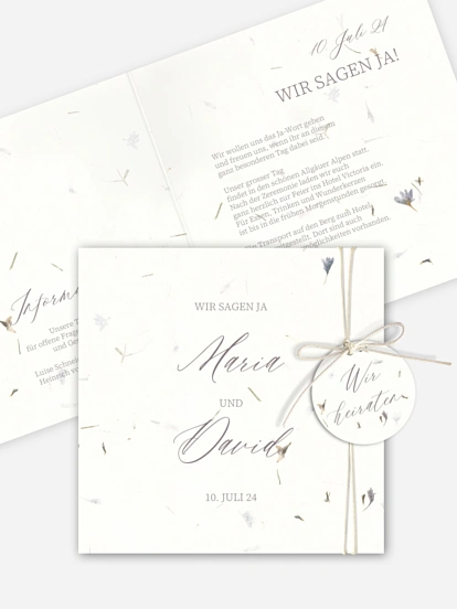 Dried Petals Dried Petals