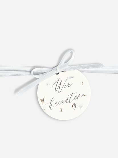 Dried Petals Dried Petals