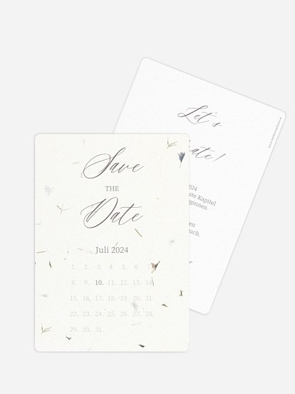 Dried Petals Dried Petals