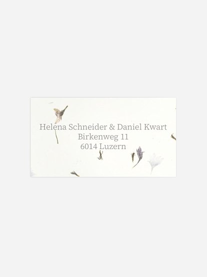 Dried Petals Dried Petals