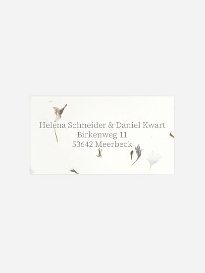 Dried Petals Dried Petals