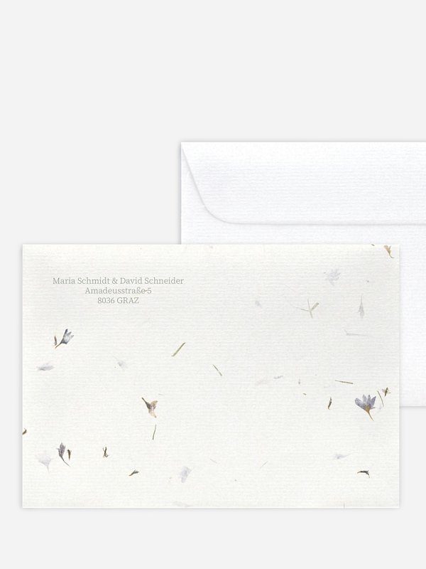 Dried Petals