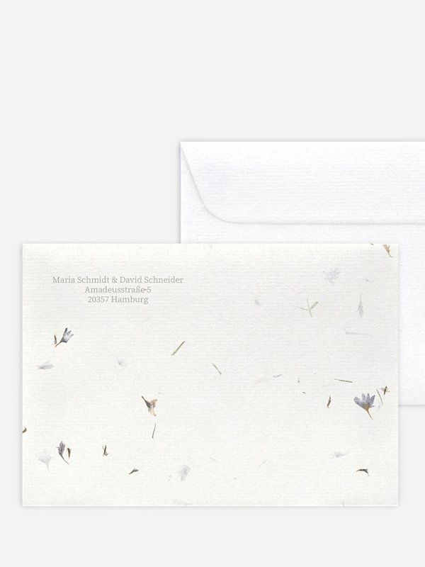 Dried Petals