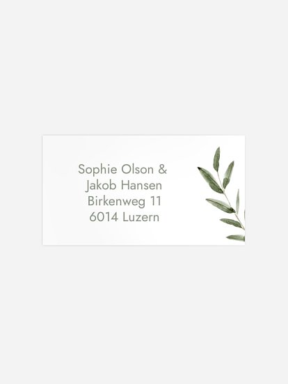 Green Dream Green Dream