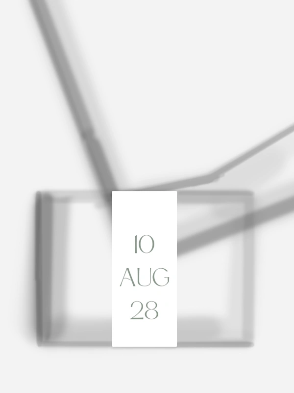 The Big Day