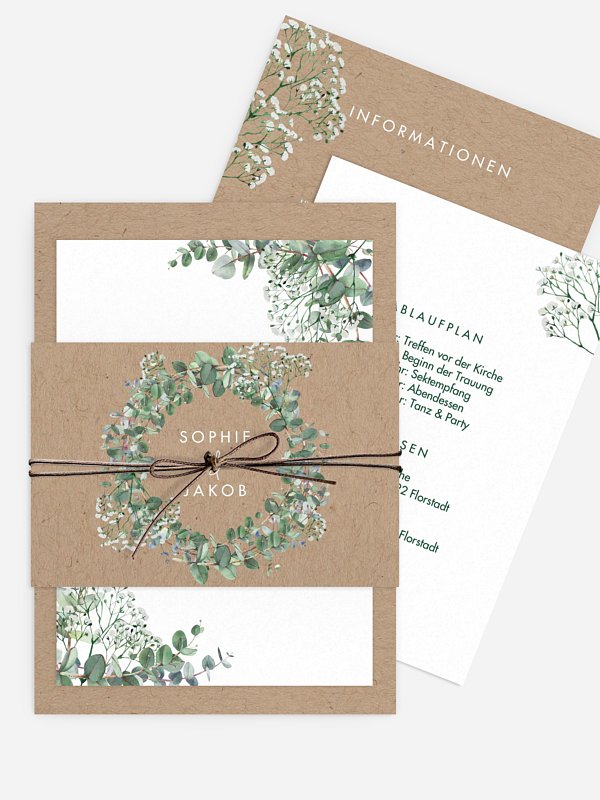 Gypsophila