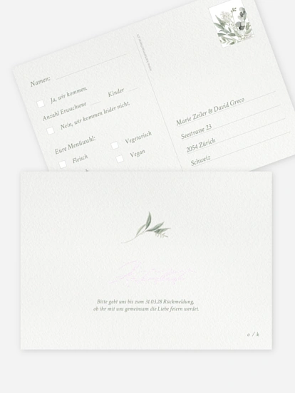 Evergreen Elegance Evergreen Elegance