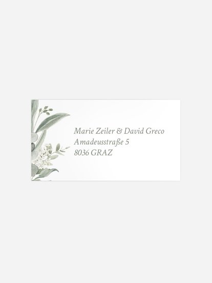 Evergreen Elegance Evergreen Elegance