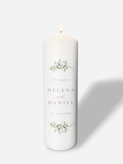 Beauty of Nature Beauty of Nature