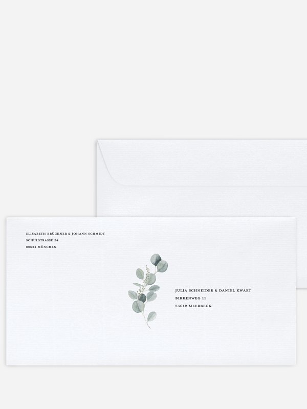 Eucalyptus Love