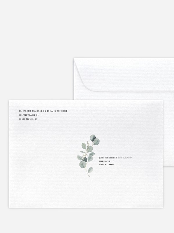 Eucalyptus Love