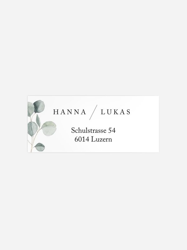 Scandi Eucalyptus