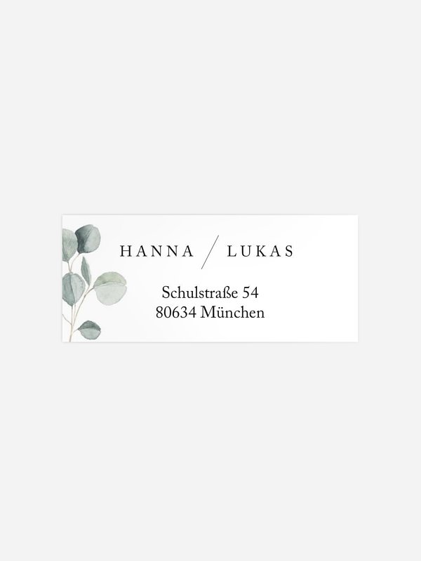 Scandi Eucalyptus
