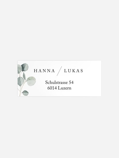 Scandi Eucalyptus Scandi Eucalyptus